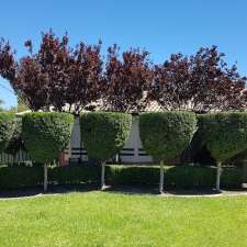 O'Connor's Garden Maintenance | Scenic Dr, Maida Vale WA 6057, Australia