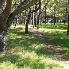 Pine Grove | Centennial Park NSW 2021, Australia