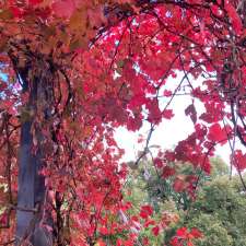 Viewfield Garden | Park | 651 Mount Macedon Rd, Mount Macedon VIC 3441, Australia