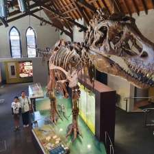 Australian Fossil and Mineral Museum | 224 Howick St, Bathurst NSW 2795, Australia