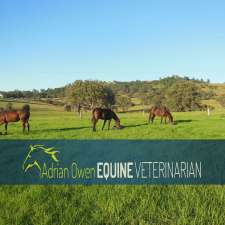 Adrian Owen Equine Veterinarian | 137 Nowendoc Rd, Killawarra NSW 2429, Australia