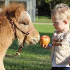 Fernbank Farm Horses Helping Humans & Mini Fun Times | 5735 Main S Rd, Wattle Flat SA 5203, Australia