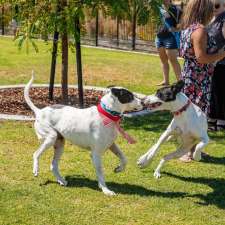 Newhaven Dog Park | Macadamia Loop, Piara Waters WA 6112, Australia