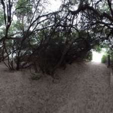 Long Beach Forest | Sandy Bay TAS 7005, Australia