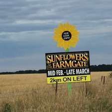 Sunflowers at The Farmgate | 2 Settlement Rd, Elaine VIC 3334, Australia