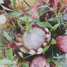 Starling Flowers | Williams Newsagency, 26 Agnes St, Kingston SE SA 5275, Australia