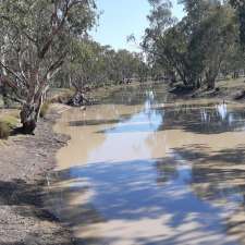 Meandarra Camping | 5102 Condamine Meandarra Rd, Meandarra QLD 4422, Australia