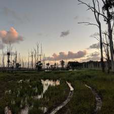 Medowie State Conservation Area | Ferodale NSW 2318, Australia