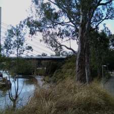 River & Green Bridge View Bench | Dutton Park QLD 4102, Australia