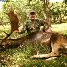 Fallow deer hunting australia | srs rd wellingrove nsw 2370, Wellingrove NSW 2370, Australia