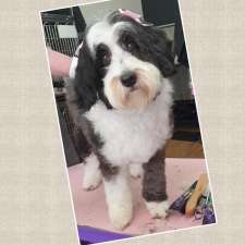 Happy dog pet grooming | 64 Radfords Rd, Nirranda South VIC 3268, Australia