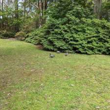 Illawarra Rhododendron Gardens | Parrish Ave, Mount Pleasant NSW 2519, Australia