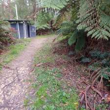 Aire Crossing campsite | Air River Crossing Track Great Otway National Park, Johanna VIC 3238, Australia