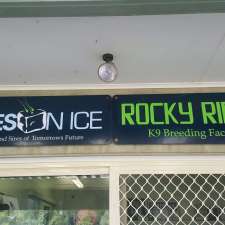 SIRES ON ICE GREYHOUNDS | 3 Jones Rd, Calga NSW 2250, Australia