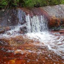 Yerriyong State Forest | Jerrawangala NSW 2540, Australia