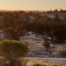 Casuarina | Big Desert VIC 3418, Australia