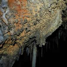 Castle Cave | Yarrangobilly NSW 2720, Australia