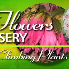 Weslor Flowers Plant Nursery | 474 Whelan Rd, Imbil QLD 4570, Australia