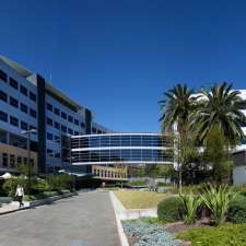 MQ Health Urology | suite 304 level 3/2 Technology Pl, Macquarie University NSW 2109, Australia