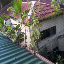 Seasonal Gutter Cleaning | 73 Harrier Dr, Burleigh Waters QLD 4220, Australia