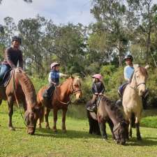 Gold Coast Equestrian Centre | 212 Stewart Rd, Clagiraba QLD 4211, Australia