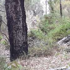 Porongurup Range Tourist Park - Porongurup | 1304 Mount Barker Porongurup Road, Porongurup WA 6324, Australia