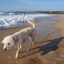 Dog Friendly Off-Leash Beach Area | Unnamed Road, Tathra NSW 2550, Australia