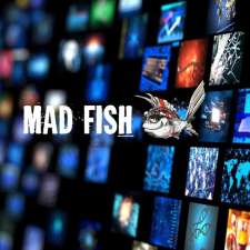 Mad Fish Media | U4/6 Darwin Ave, Little Bay NSW 2036, Australia