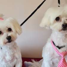 Fur Baby Grooming Bow-Tique | 56 Rondanella Dr, Kanahooka NSW 2530, Australia