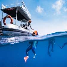 Keppel Dive | The Spit, The Keppels QLD 4703, Australia