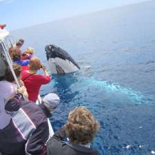 Legend Charters Whale Watching Tours and Deep Sea Fishing Charte | 25 Dunn Bay Rd, Dunsborough WA 6281, Australia