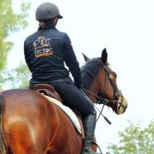 Tic Toc Equestrian | 144A Hibberts Ln, Freemans Reach NSW 2756, Australia