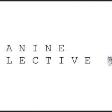 The Canine Collective | 3/72 May Rd, Sydney NSW 2099, Australia