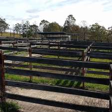 Dungog Saleyards | Short St, Dungog NSW 2420, Australia