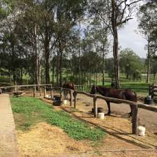 Hunter Valley Horse Riding & Adventures | 288 Talga Rd, Lovedale NSW 2325, Australia