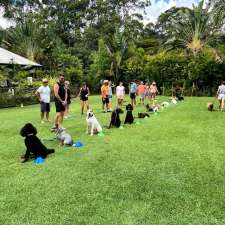 Kat's 4 Dogs | 19 Livistona Dr, Doonan QLD 4562, Australia