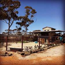 The Silos - Wave Rock Short Stay | 2952 Aylmore Rd, Hyden WA 6359, Australia