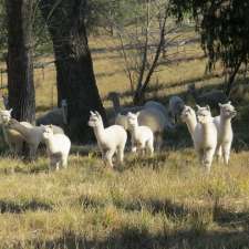 Oak Grove Ultrafine Alpacas | 20 Kameruka Ln, Candelo NSW 2550, Australia