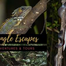 Jungle Escapes - Adventures & Tours - Cape Tribulation | 141 Camelot Cl, Cape Tribulation QLD 4873, Australia