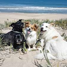 The Walking Dog Trainer | Madora Bay Road, Madora Bay WA 6210, Australia