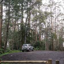 Mount Erica Car Park | Mt Erica Rd, Baw Baw VIC 3833, Australia