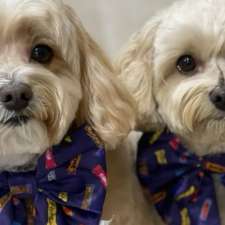 Twomoodles | Establishment | 32 Currawong St, Deebing Heights QLD 4306, Australia