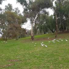 Torrens River | Flinders Park SA 5025, Australia