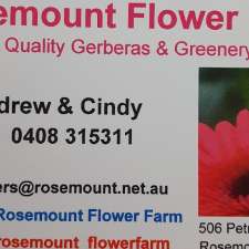 Rosemount Flowers | 506 Petrie Creek Rd, Rosemount QLD 4560, Australia