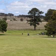 Tenterfield Golf Club - 169 Pelham St, Tenterfield NSW 2372, Australia