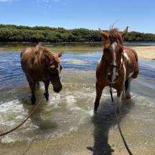 Shellgrit Stables Natural Horsemanship & Agistment | 222 Shellgrit Rd, Middle Beach SA 5501, Australia