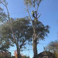Everscape Tree Services | Maribyrnong Ave, Kaleen ACT 2617, Australia