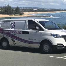 Purple carpet care | 2/27 Landsborough Parade, Golden Beach QLD 4551, Australia