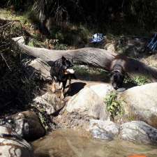 Coopers creek | Coopers Creek VIC 3825, Australia