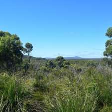 Balfour Track Forest Reserve - West Coast TAS 7321, Australia